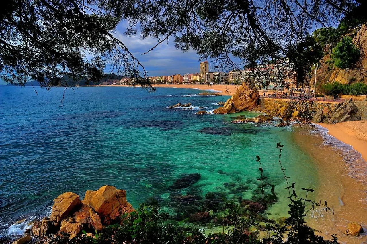 Sonia Duplex Center Apartment Lloret de Mar